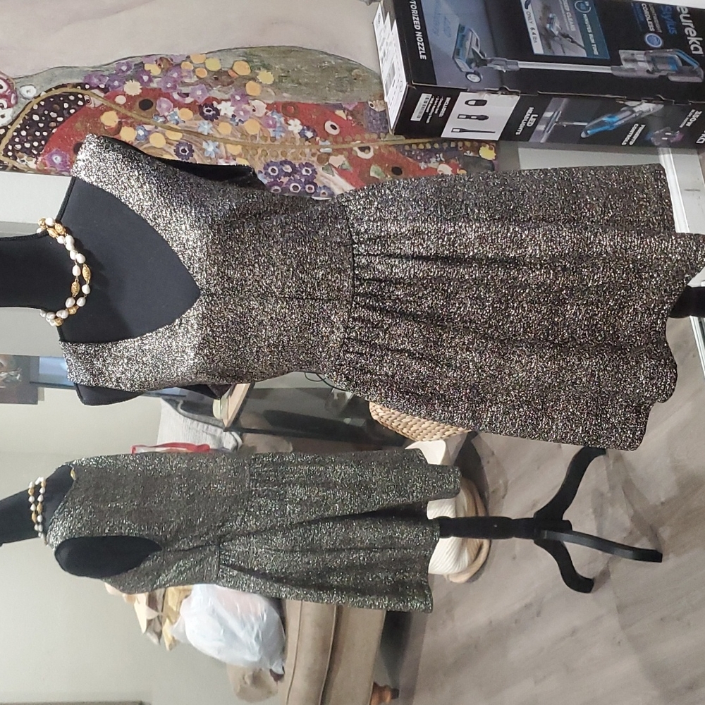 Plus Size Sleeveless cellophane glittery holiday dress.
